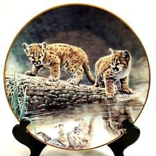Wild innocents reflections for sale  Staunton