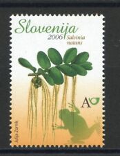 2006 slovenia piante usato  Como