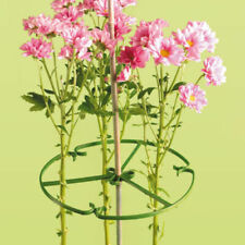 Plant flower support for sale  MANSFIELD