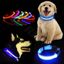 Light led dog for sale  LONDON