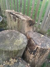 maple stump for sale  Centreville