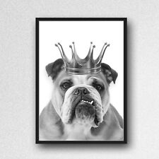 English bulldog crown for sale  WOLVERHAMPTON