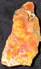 Arizona petrified wood for sale  Shipping to Ireland