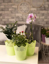 Plant pots indoor for sale  MORECAMBE