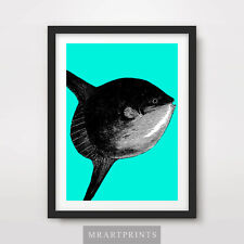 Sunfish art print for sale  PEVENSEY