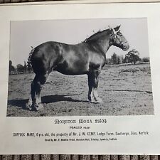 Heavy horse prints for sale  GREAT YARMOUTH