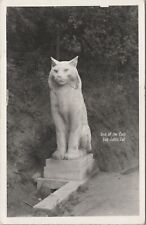 Rppc cats los for sale  Sherwood