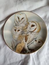 Pretty barn owl for sale  AYLESBURY
