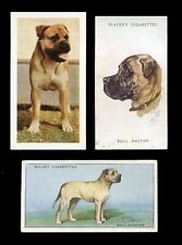 Bullmastiff dog vintage for sale  UK