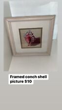 Framed conch sea for sale  Salisbury