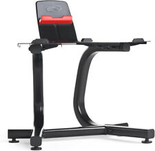 bowflex manubri usato  Torino