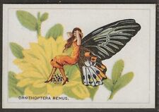 Butterflies 1928 08 for sale  COLNE