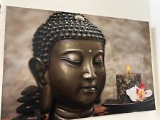 Led bild buddha gebraucht kaufen  Zeitz