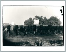 1980 medoc chateau d'occasion  Viry-Châtillon
