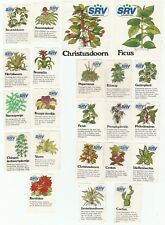 Used, Full set of Plants - Flowers - Ficus - Matchbox Labels (p54) for sale  Shipping to South Africa