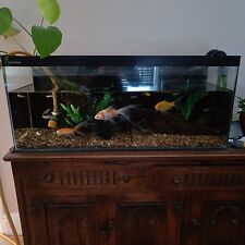 Fish tank aquarium for sale  CRAWLEY