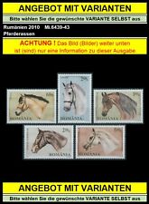 Rumänien 2010 pferde gebraucht kaufen  Schwabach