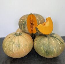 Squash pumpkin seeds d'occasion  Expédié en Belgium