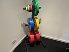 bumper plates olympic weight for sale  HUNTINGDON