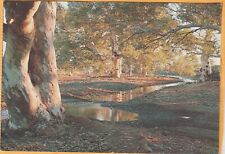 CREEK BED WILPENA POUND FLINDERS RANGES SOUTH AUSTRALIA MURRAY VIEWS POSTCARD, used for sale  Shipping to South Africa