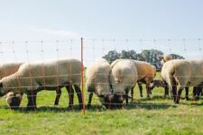 Schafnetz topline net gebraucht kaufen  Siegsdorf