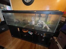 Fish tank lot for sale  Delmar