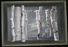 Silvery aspen forest for sale  Las Vegas