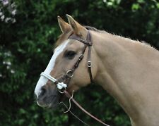 Busse wildhorn sidepull gebraucht kaufen  Hammelburg