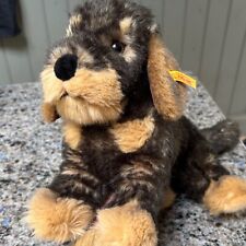 Moritz dachshound dog for sale  WHITBY