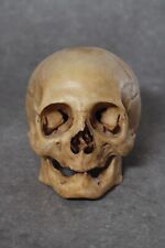 Réplique crâne humain d'occasion  Castillon-en-Couserans