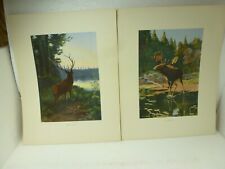 art elk print for sale  Ashland