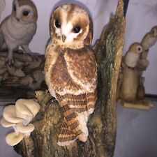 Teviotdale owl perched for sale  TELFORD