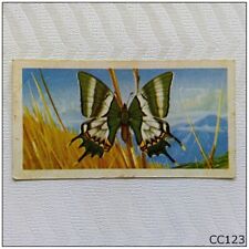 Brooke Bond Butterflies Of The World #9 Teinopalpus imperialis Tea Card (CC123) for sale  Shipping to South Africa