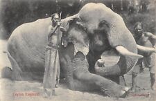 Cpa ceylon elephant d'occasion  Claira
