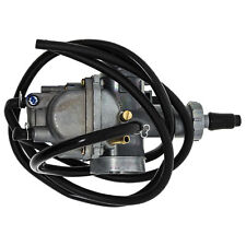 Niche carburetor assembly for sale  New Baltimore