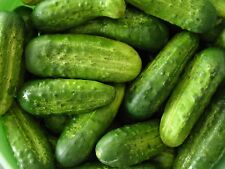 Homemade pickles cucumber for sale  Deltona