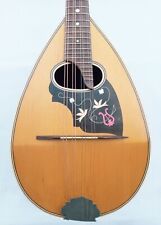 Bowlback mandolin mod. for sale  Shipping to Ireland