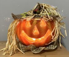fiber optic halloween scarecrow for sale  Pittsburgh