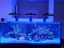 Redsea reefer 525xl for sale  Los Angeles
