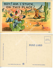 Vintage unposted postcards for sale  Lafayette