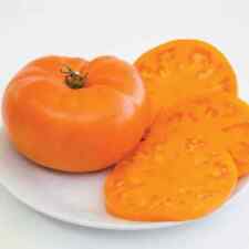 Amana orange beefsteak for sale  Julian