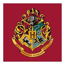 Harry potter hogwarts for sale  MAIDENHEAD