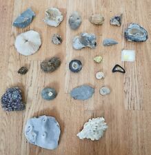 Rock fossil crystal for sale  WALTON-ON-THAMES