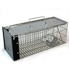 Rat trap squirrel for sale  CREDITON