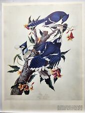 1937 audubon birds for sale  Palos Heights