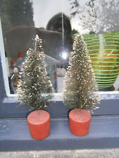 bottle brush tree for sale  LLANFAIRFECHAN