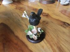 Country artists blackbird for sale  STAFFORD