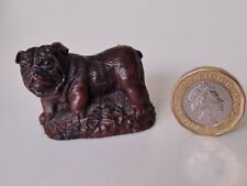 miniature british bulldog for sale  UK