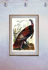 Audubon wild turkey for sale  Cambria