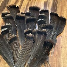 Used, Lot Of Natural Turkey Feather, Tail Feathers for sale  Shipping to South Africa